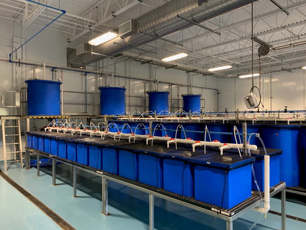 U.S. food company opens aquaculture research lab - RASTECH ...